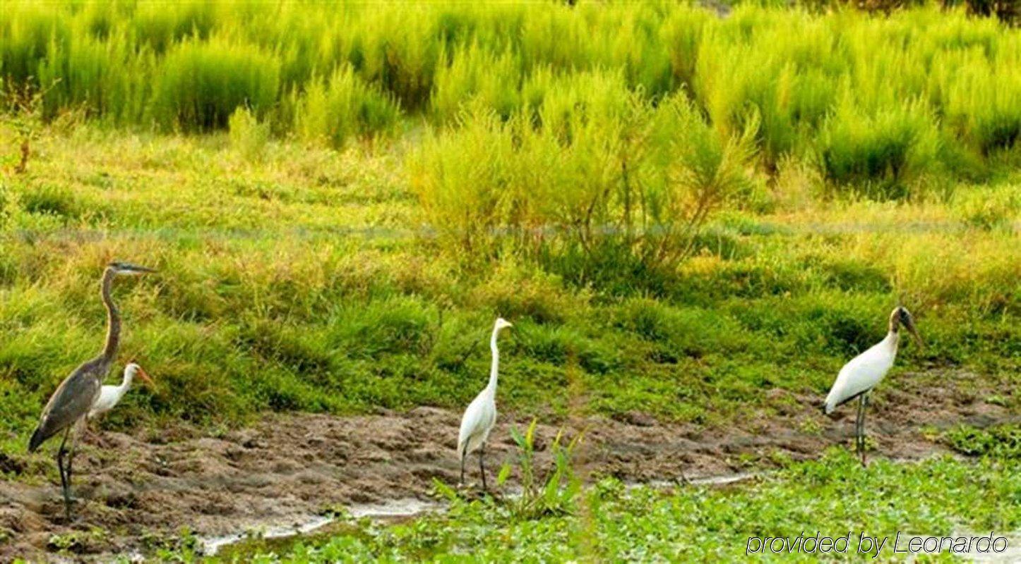 Hampton Inn Okeechobee - Lake Окічобі Екстер'єр фото