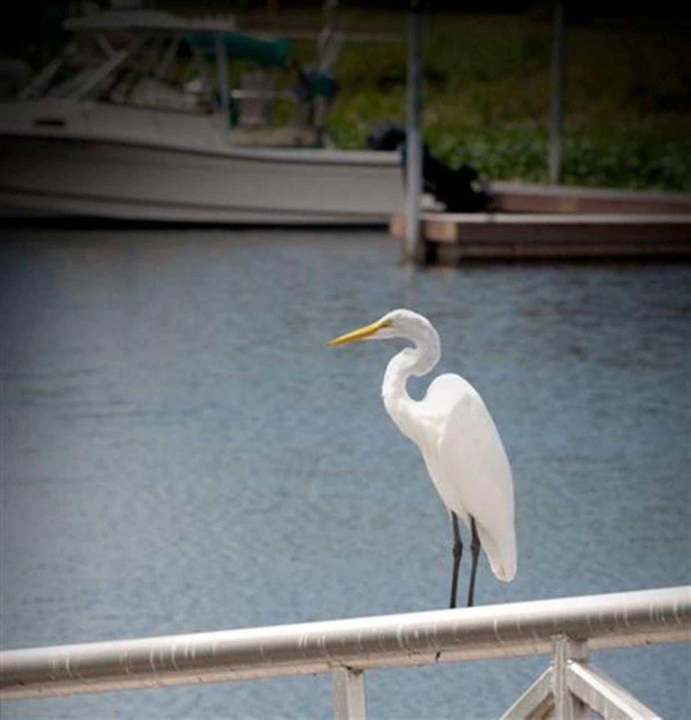 Hampton Inn Okeechobee - Lake Окічобі Екстер'єр фото