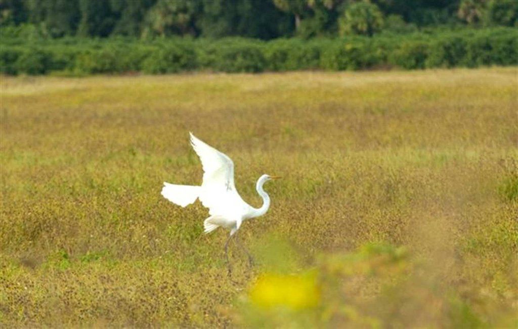 Hampton Inn Okeechobee - Lake Окічобі Екстер'єр фото